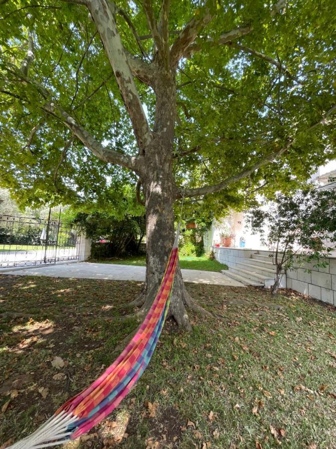 La Casa Di Caterina: Nature,Relax And Private Garden Lefkada City Exterior photo